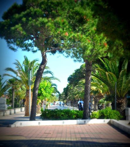 Hotel Hotel Beach